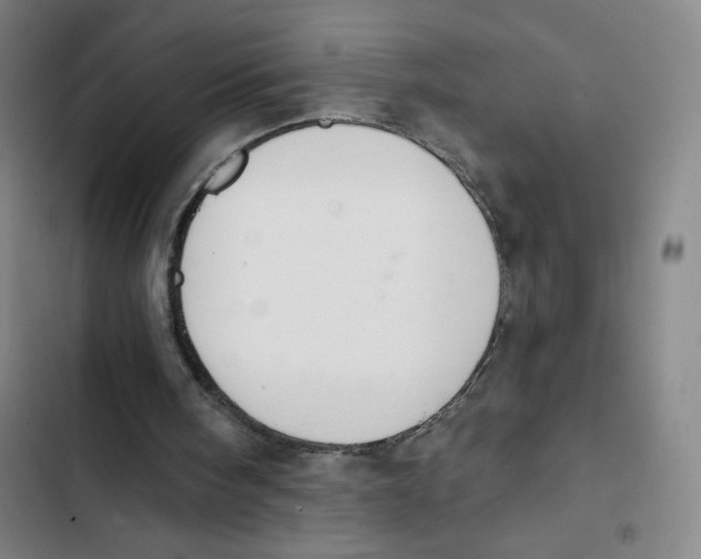 X0000102850098200809151137