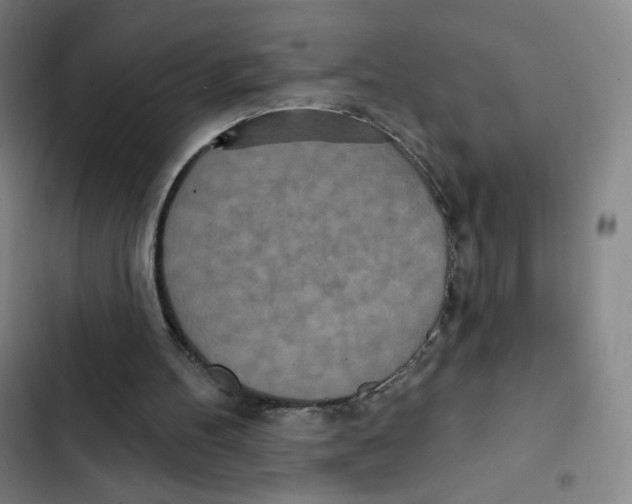 X0000102850100200809151137