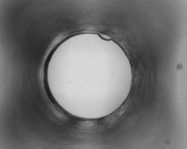 X0000102850102200809151137