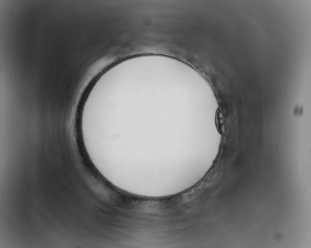 X0000102850104200809151137