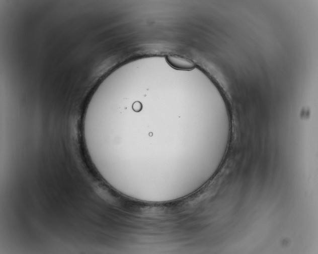 X0000102850105200809151137