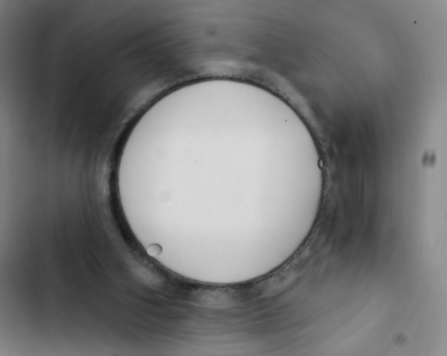 X0000102850106200809151137