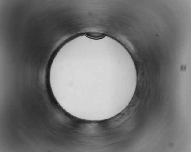 X0000102850108200809151137