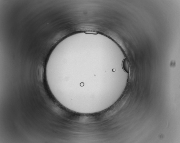 X0000102850109200809151137