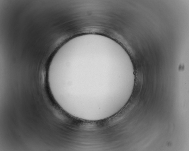 X0000102850110200809151137