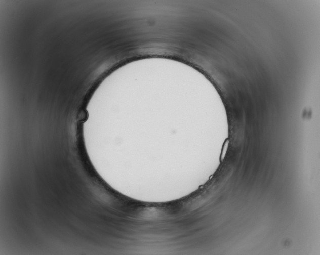 X0000102850111200809151137