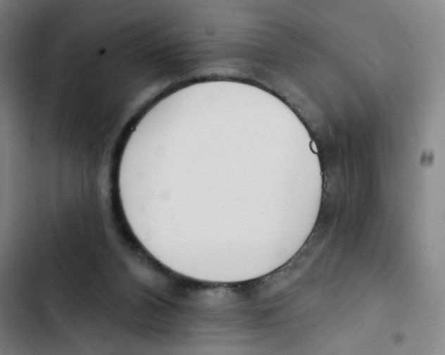 X0000102850112200809151137