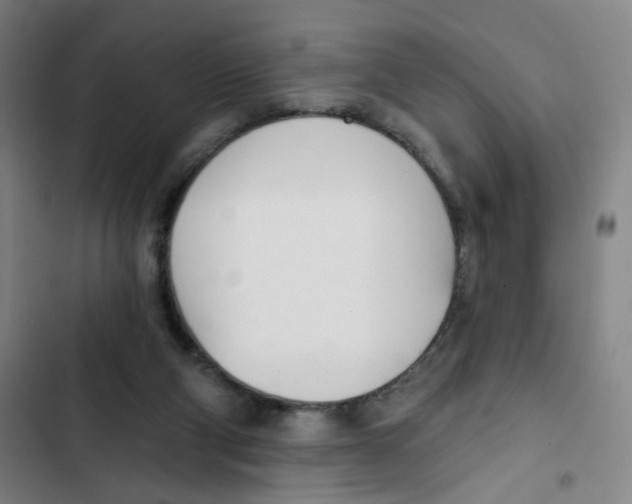 X0000102850114200809151136