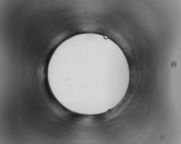 X0000102850116200809151136