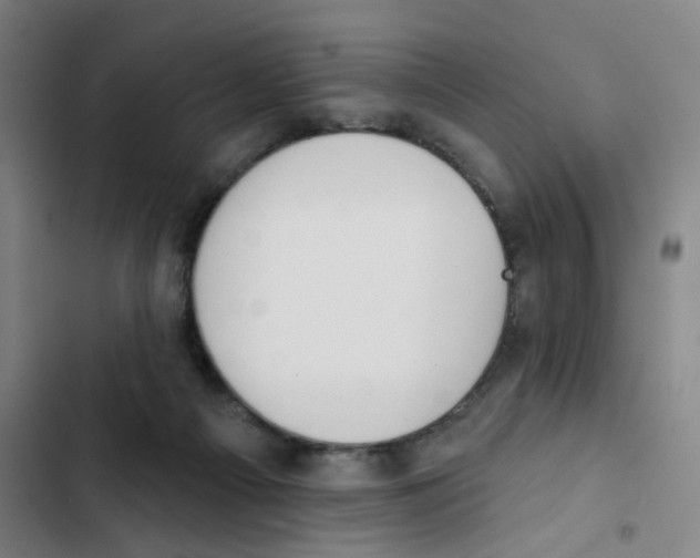 X0000102850121200809151136