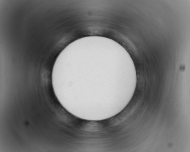 X0000102850123200809151136