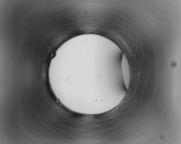 X0000102850124200809151136