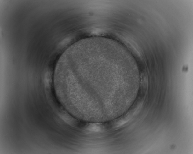 X0000102850127200809151136