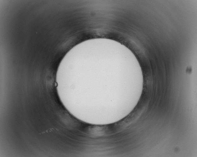 X0000102850129200809151136