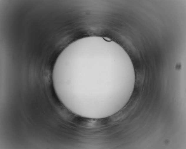 X0000102850130200809151136