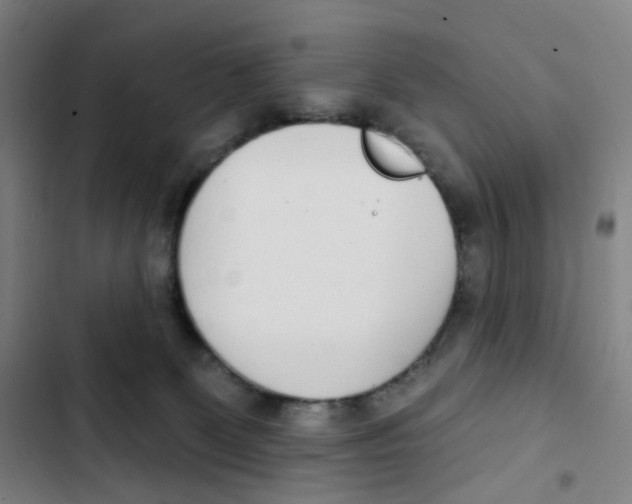 X0000102850131200809151136