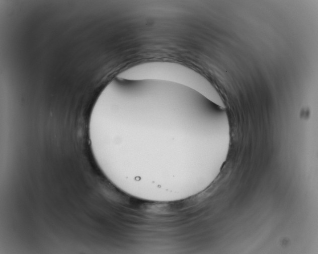 X0000102850132200809151136