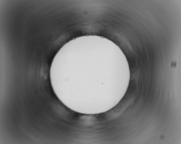 X0000102850133200809151136