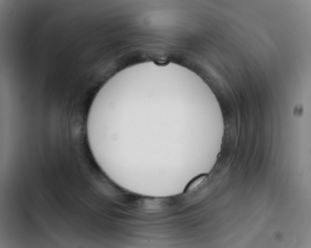 X0000102850134200809151136