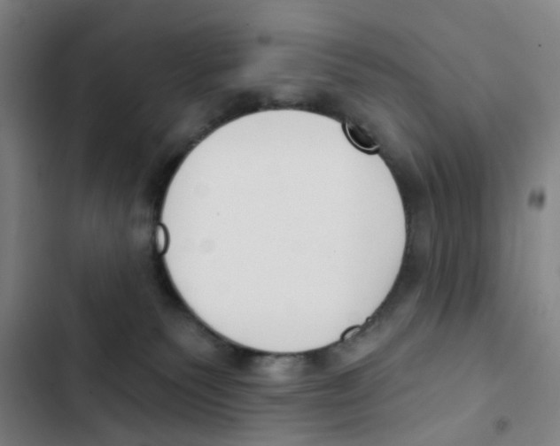 X0000102850135200809151136