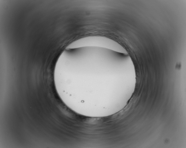 X0000102850136200809151136