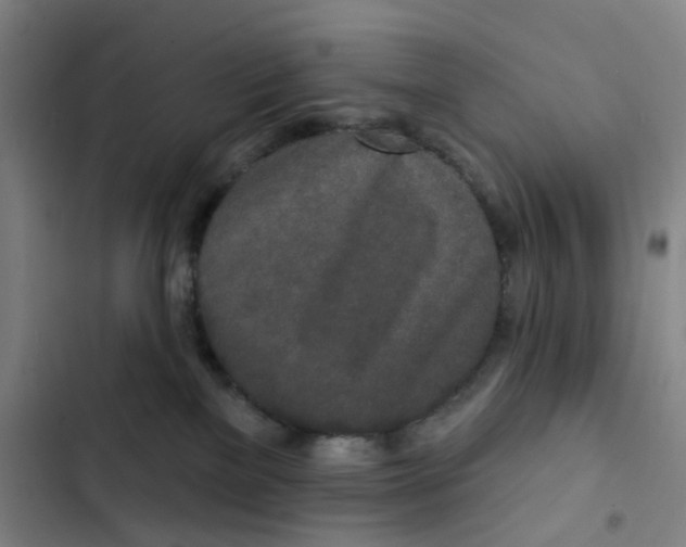 X0000102850137200809151136