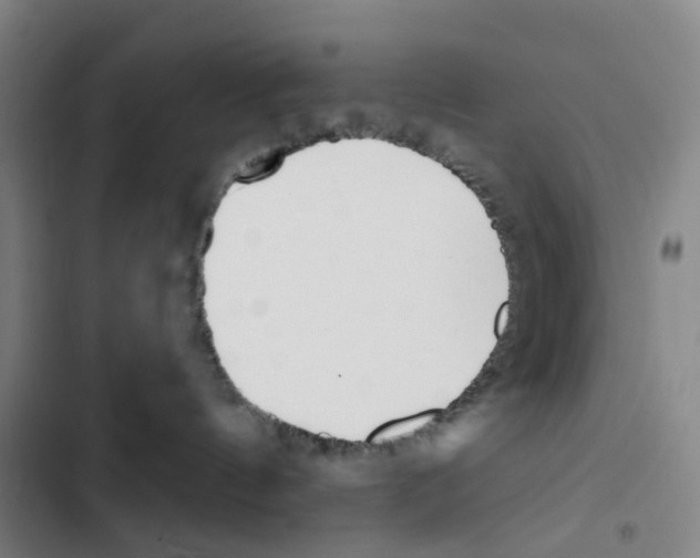 X0000102850144200809151136