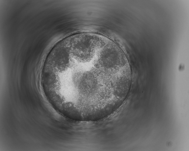 X0000102850145200809151135