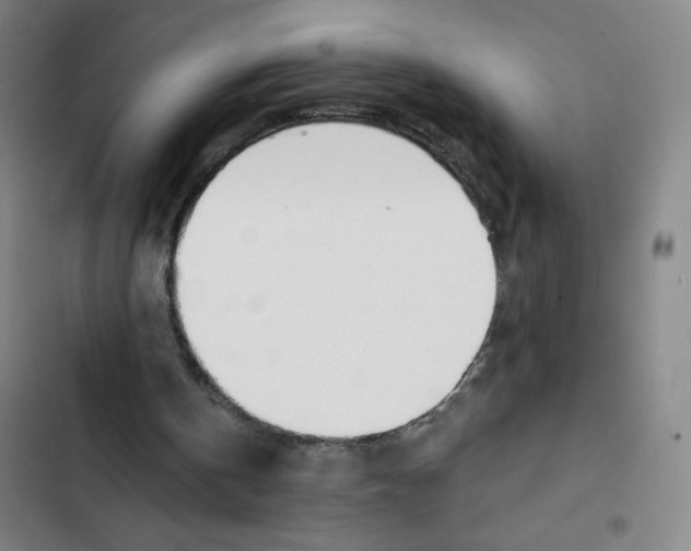 X0000102850146200809151135