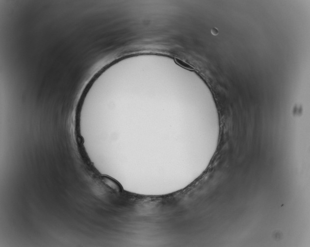 X0000102850148200809151135