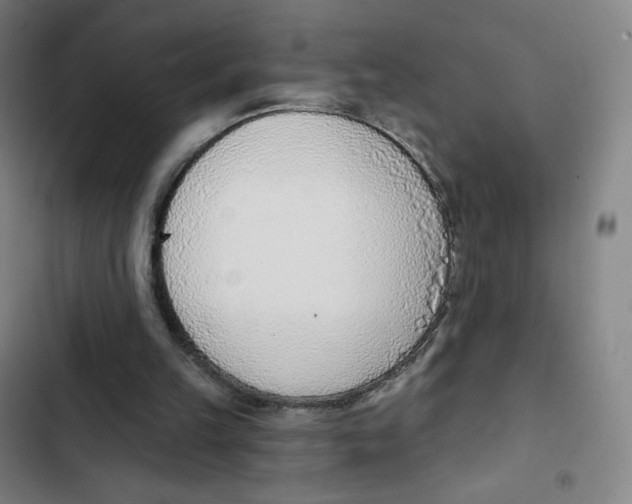 X0000102850149200809151135