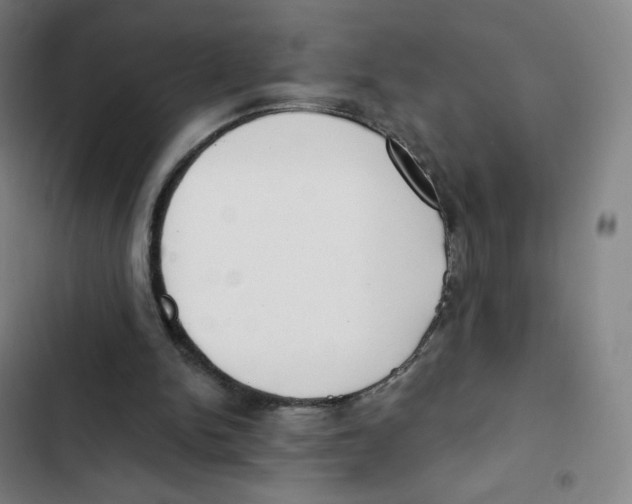 X0000102850150200809151135