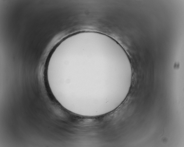 X0000102850151200809151135