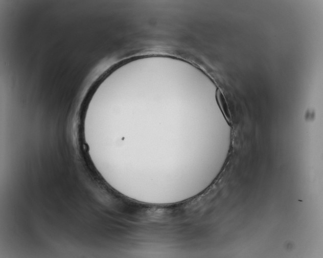 X0000102850152200809151136