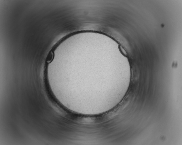 X0000102850156200809151136