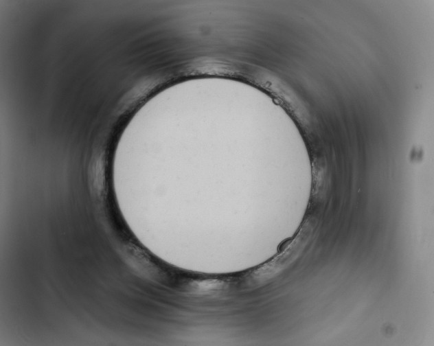 X0000102850158200809151136