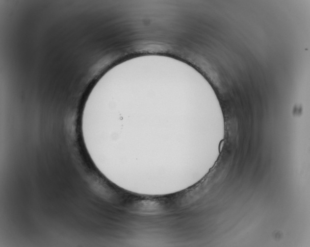 X0000102850159200809151136