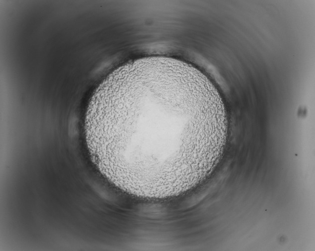 X0000102850161200809151136