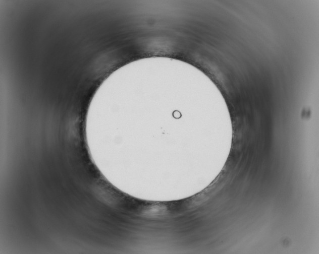 X0000102850162200809151136