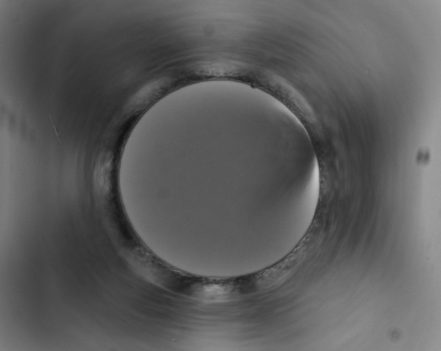 X0000102850163200809151136