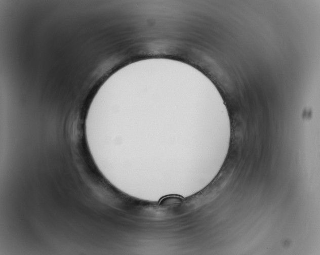 X0000102850164200809151136