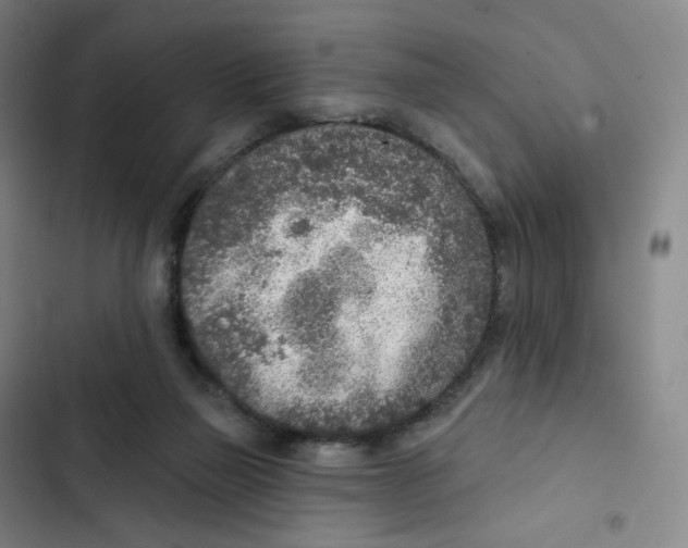 X0000102850165200809151136