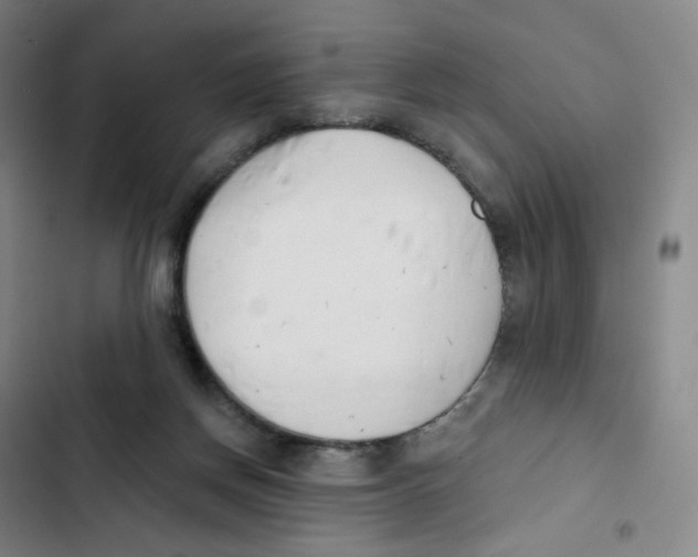 X0000102850166200809151136