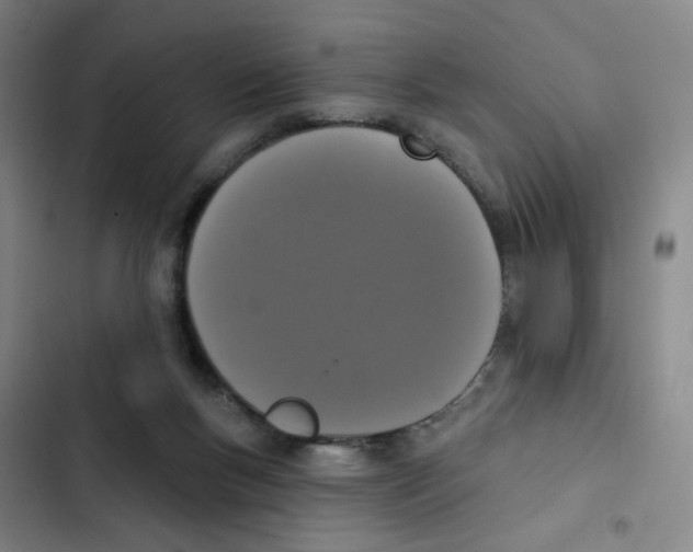 X0000102850167200809151136