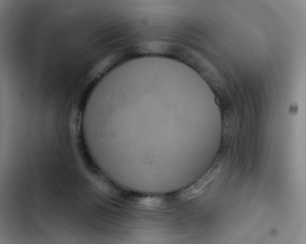 X0000102850168200809151136