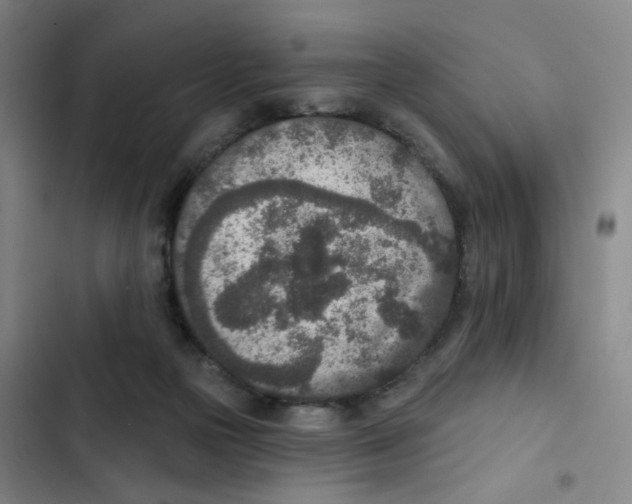 X0000102850169200809151136