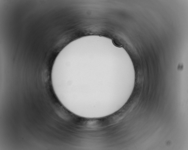 X0000102850173200809151136