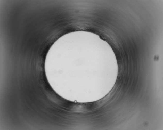 X0000102850174200809151136