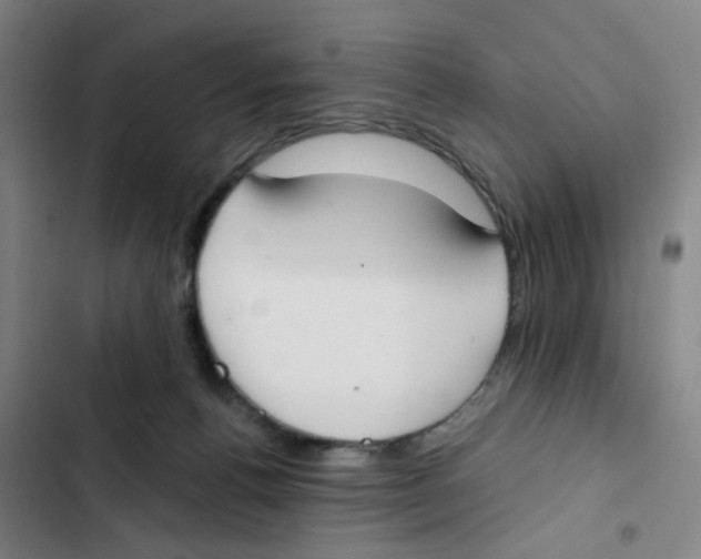 X0000102850176200809151136