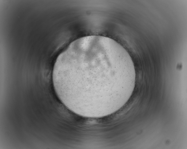 X0000102850177200809151136